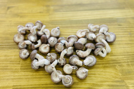 新鮮！肉厚ジューシー椎茸【ミニサイズ１ｋｇ】