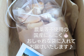 お買い得♪ニンニクにんにく バラ売り 50個入り☆バラにんにく🧄農薬、除草剤、化学肥料不使用※常温発送