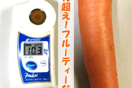 有機にんじん【9kg】サラダ、ジュース用におすすめ！平均糖度10超え！