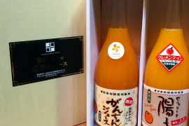 【クレメンテインと温州ミカン飲み比べ】セニョリータ陽子とがんちゃんの2本セット