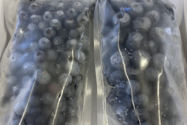 観光農園の冷凍ブルーベリー　1kg　【埼玉県産】