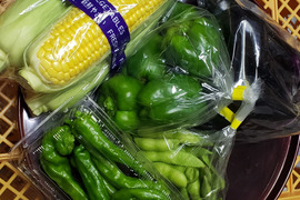 【１５名様限定】旬の野菜セット４～５品