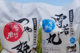 【食べ比べ】令和5年産　特別栽培米つや姫精&雪若丸精白米　各2kg1袋　特別栽培米ヒメノモチ白米1kg2袋