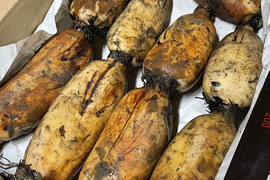 【自然栽培・在来種】神子原れんこん(中)4kg