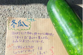 養生セット　【とろける冬瓜の冬支度養生セット】　五行ライフに♪