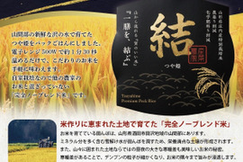 【山形県産つや姫】　パックライス12個入り