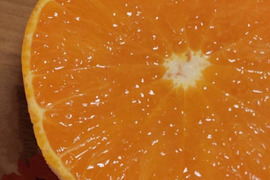 せとか【超訳あり】4.5kg(箱込)