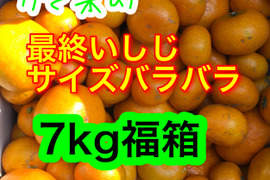 お昼買えなかった方5箱限定サイズバラバラ、あるのぜんぶかき集めいしじみかん福箱7kg箱も空き箱ギリギリまでお得に