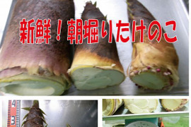 【最短発送】兵庫産朝掘りたけのこ2.8kg