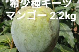 希少キーツマンゴー(家庭用)2.2kg