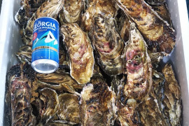 ★ノロウィルスが無い牡蠣★　食べ放題向け　バラ牡蠣 生食用　最大量１５ｋｇ（１２０個くらい）北海道森町産