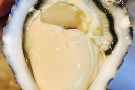 甘みと濃厚さ抜群の極上牡蠣！【OMAKI】20個入り