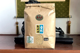 令和7年産予約　自然栽培米 ササニシキ 庄内米 玄米20kg(5kg✖️4袋)