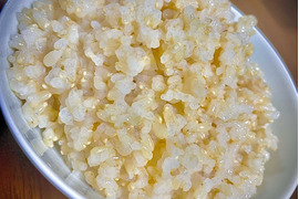 プチフルール商品　準自然米　福岡県産「元気つくし」令和6年産　玄米20kg 準自然米 大好評の福岡県産「元気つくし」令和6年産 玄米5kg