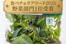 【たっぷり１週間分30g×21p】濃い味！山形県産JAS有機ベビーリーフ
