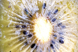 体が喜ぶ♬自然農法　キウイフルーツ 　“東京ゴールド”(農薬・肥料不使用）　1ｋｇ