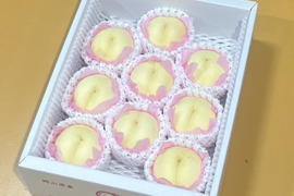 🍑おかやまの白桃　中箱【6〜11個】【ご自宅用】
