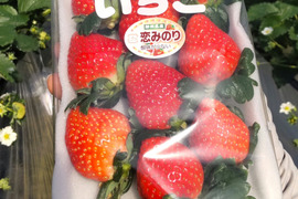 【冬ギフト】完熟いちご（恋みのり）300g2パック（DXパック）　酸味少ない、関東では貴重な新品種！