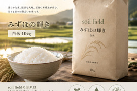 新潟県産みずほの輝き《白米10k》