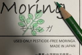 奇跡のスーパーフード　モリンガ茶　2パック