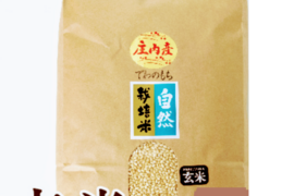 【 玄米・20kg 】 自然栽培 でわのもち(もち米) 玄米(5kg×4袋)