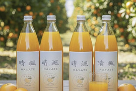 【数量限定】希少ブランドみかん100％ジュース　1L✕4本