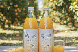 【数量限定】希少ブランドみかん100％ジュース　1L✕2本