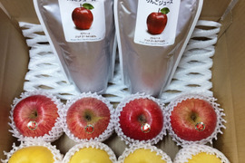 【岩手・紫波町】🍎🍏特別栽培「サンふじ」「はるか」「ジョナゴールド100％ジュース1L×2」の詰め合わせ（ご家庭用）