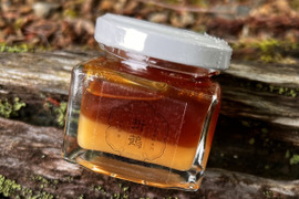野生日本蜜蜂　花粉蜜【非加熱の生はちみつ】1個50g