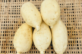 《白いサツマイモ！》茨城県産•きみまろこ•2kg•M〜2Lサイズ　土付き