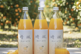 【数量限定】希少ブランドみかん100％ジュース　1L✕3本