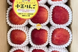 まるごとガブリっ！奥州ロマン☆小玉・食べきりサイズりんご【岩手江刺産】2㎏
