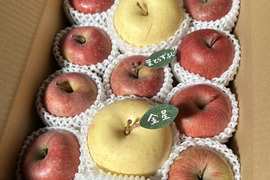 【縁起物】🍎葉とらずふじ⭐️金星（９～１１玉）約３キロ箱 ID179783
