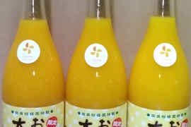 【完熟ポンカン】爽やかな香りとまろやかな美味しさ　おいしい太郎くん720㎖の3本セット