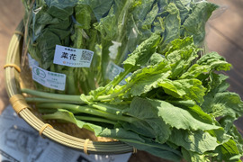 ≪予約販売≫☆有機JAS認証☆菜花100g×20袋セット2㎏【2月発送予定】