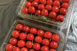【紅さやか】さくらんぼ 山形県東根産 Lサイズ以上秀・特秀品 200g×2パック