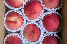 今が旬！川中島白鳳　3kg