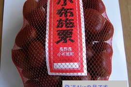 信州　小布施栗　早生栗 L玉1キロ