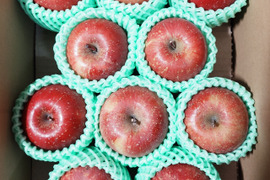 【小玉/最小容量】☆化学農薬不使用りんご☆サンふじ/小玉10個入り（2キロ）