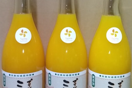 【我が社の自信作　とにかくうまいにつきる】プリンセスミツコ　クレメンティンと伊予柑のミックス完熟贅沢絞りジュース720㎖の3本セット