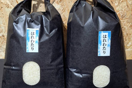 令和7年青森県産はれわたり5kg×2