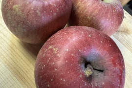 10月上旬発送　[お得な訳あり品] 皮を剥いたら特選ひろさきふじ　5kg