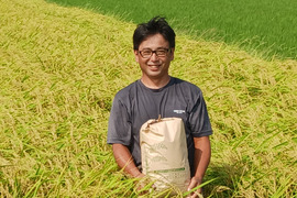 令和7年産新米　農薬5割減　特別栽培米コシヒカリ白米４.5kg　化学肥料不使用　段ボール込み約5kg