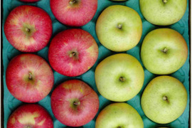 【11月中旬ころ発送】葉とらずサンふじ&王林 王道りんごの詰め合わせ！ 家庭用 5kg（12〜26個）