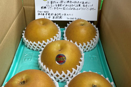 【冬ギフト】糖度11.5度以上　にっこり梨　3㎏
