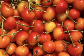 🍒スーパーBIGセール🍒【朝どれ】《紅秀峰》さくらんぼ 山形県東根産 500g ミックスサイズ　ご家庭用訳あり品