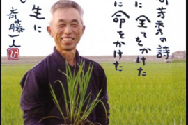 令和4年産  玄米 自然栽培 不耕起栽培   玄米 4.5kg (3升)千葉県香取市産 アトピー アレルギー ゲルソン療法にお薦め にんじん有機JASでお馴染みながら倶楽部(2Kgも御座います）