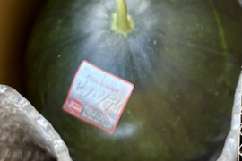 6月23日頃から発送、マイクロシード西瓜ピノダディ2Lサイズ1玉入り