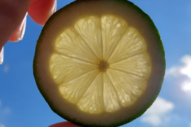 段々畑のレモン【超訳あり】5kg（箱込）