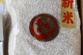 【新もち米】【真空チャックパック】新潟産こがねもち（もち米）2Kg×2袋：もっちもちのツヤツヤ！おはぎに！おこわに！ただ蒸して食べても！